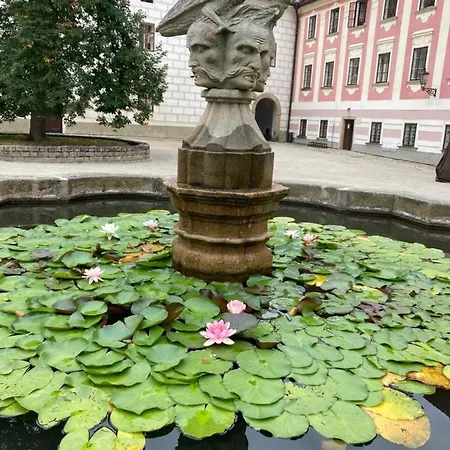 Guest house Neptun Trebon