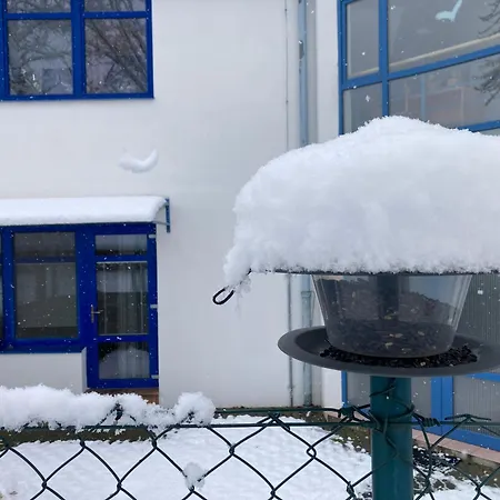 Neptun Πανσιόν 3*