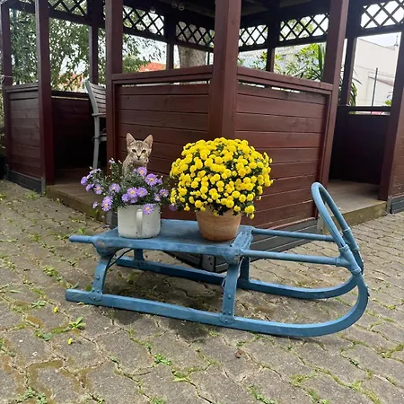 Πανσιόν Neptun Třeboň