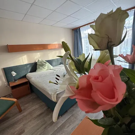 Guest house Neptun 3*