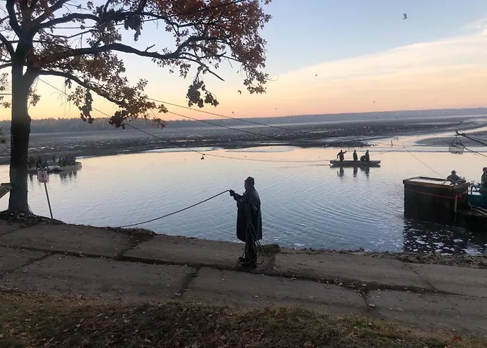 بيت ضيافة Neptun