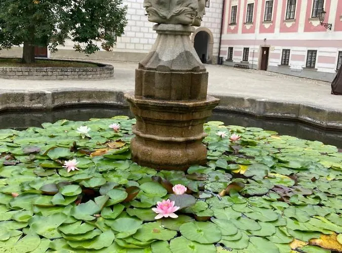 بيت ضيافة Neptun Třeboň